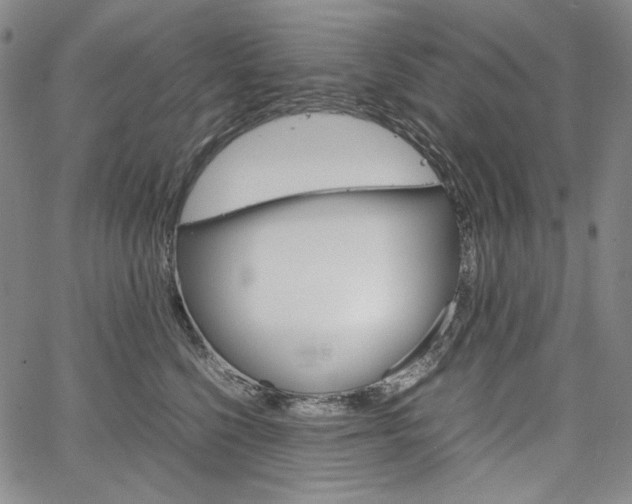 X0000067480568200604070930