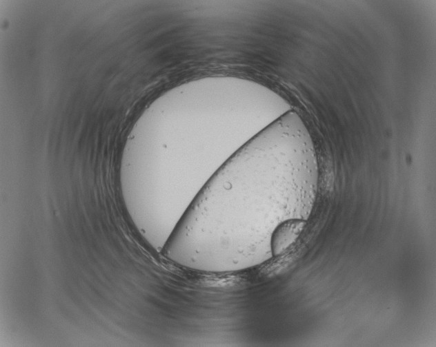 X0000067480569200604070930