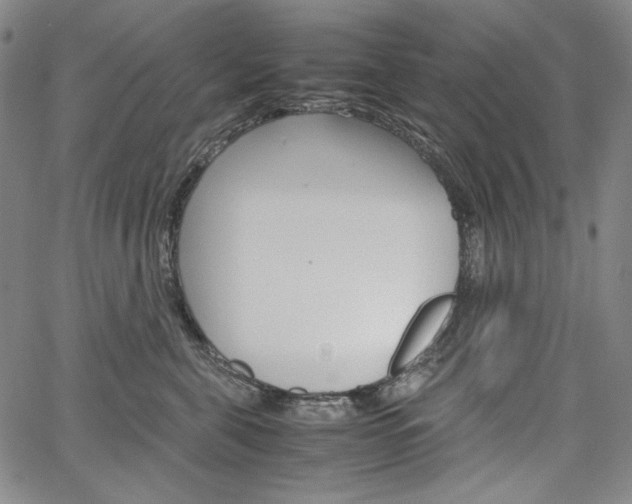 X0000067480571200604070931