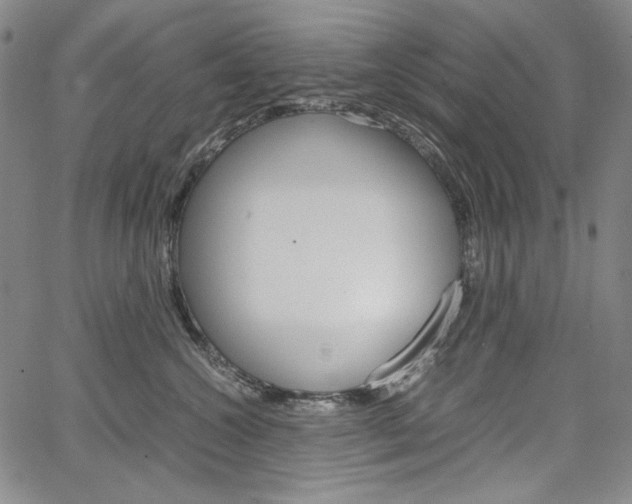 X0000067480572200604070931