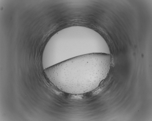 X0000067480573200604070931