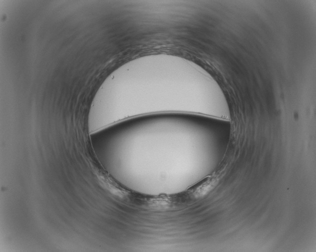 X0000067480574200604070931