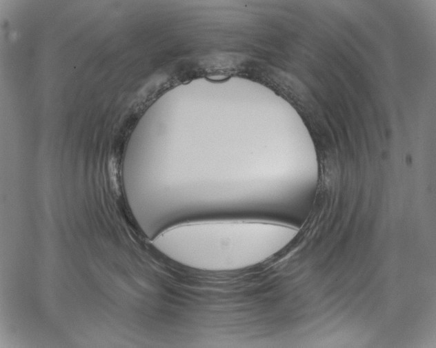 X0000067480575200604070931