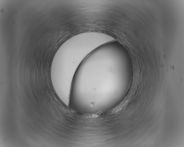 X0000067480576200604070931