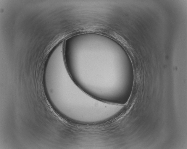 X0000067480577200604070930