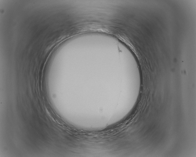 X0000067480579200604070930