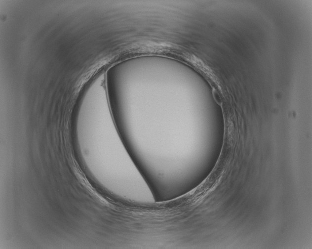 X0000067480581200604070930