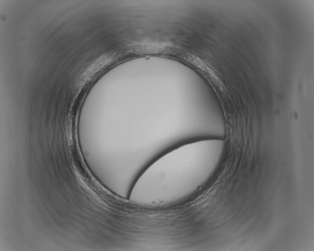 X0000067480582200604070930