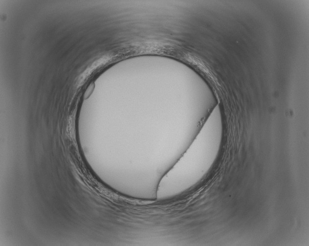 X0000067480583200604070930