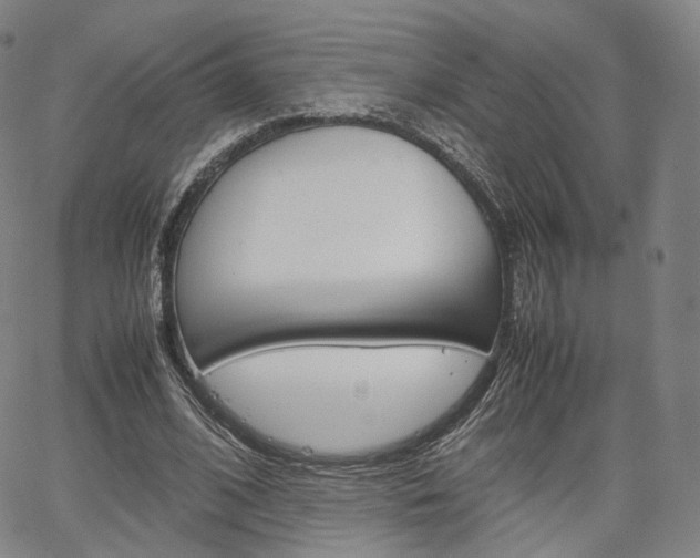 X0000067480584200604070930