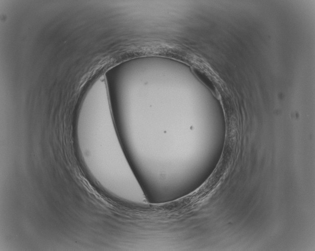 X0000067480585200604070930