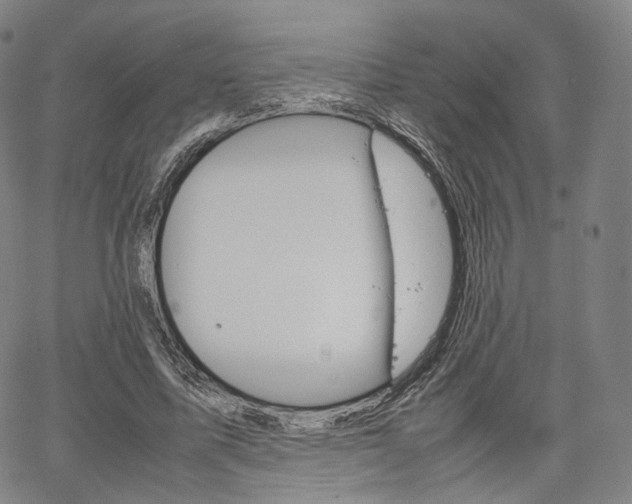 X0000067480587200604070930