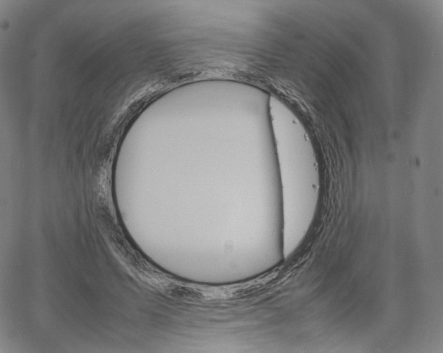 X0000067480591200604070930