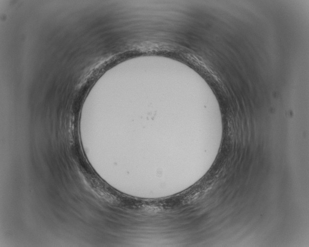 X0000067480592200604070930