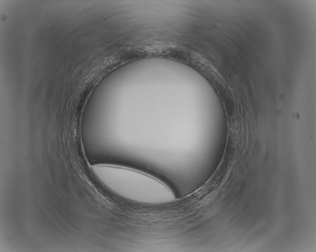 X0000067480593200604070930