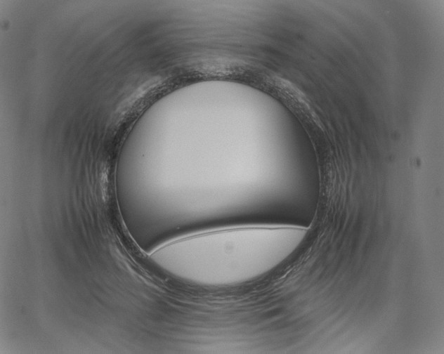 X0000067480596200604070930