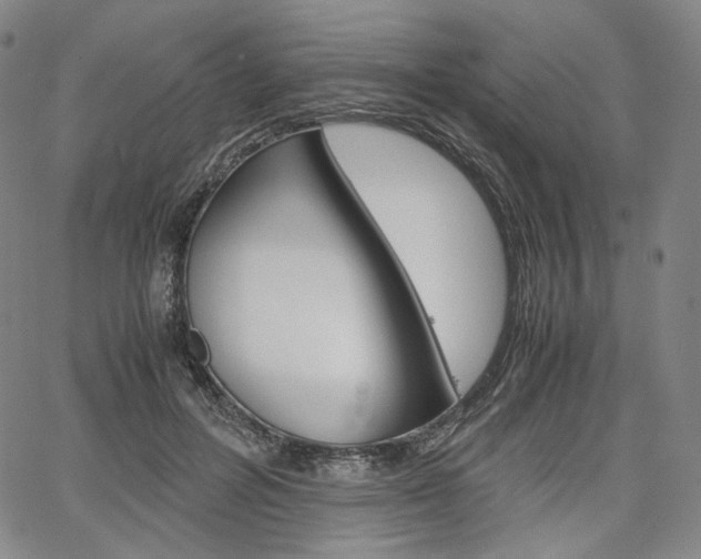 X0000067480600200604070929