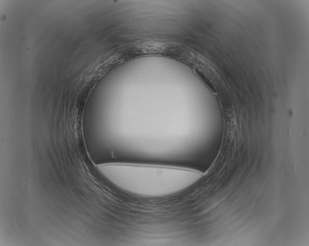 X0000067480604200604070929