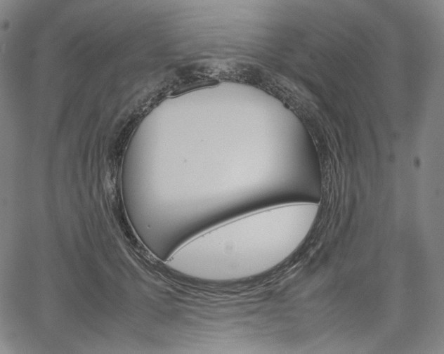 X0000067480607200604070929
