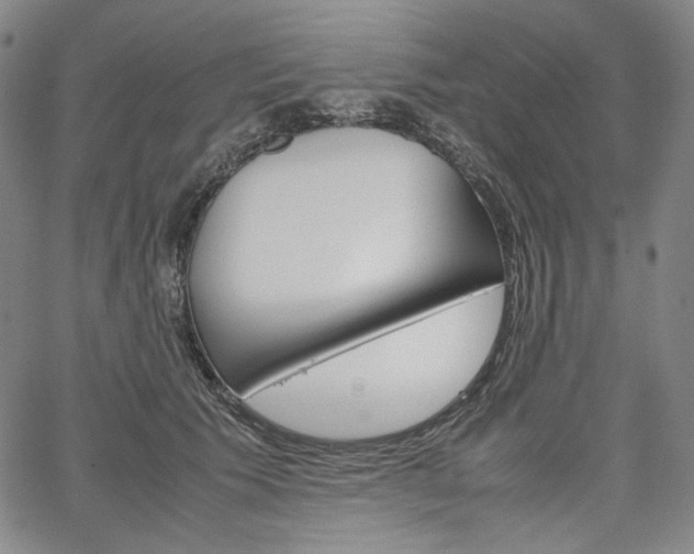 X0000067480609200604070929
