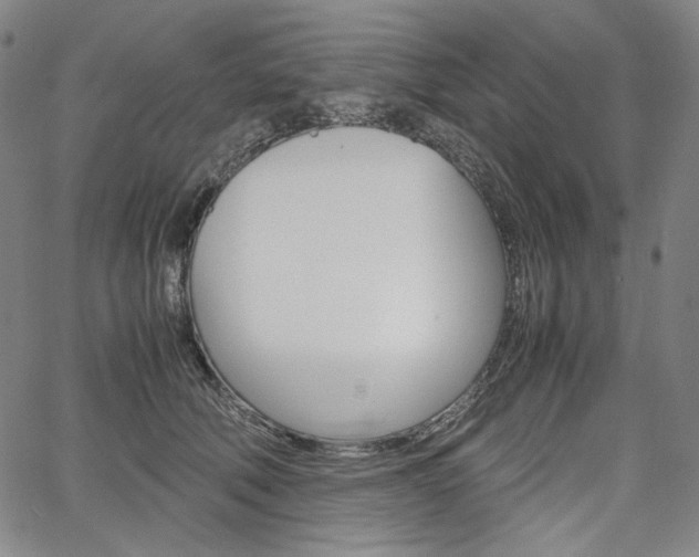 X0000067480610200604070929