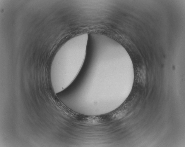 X0000067480612200604070929