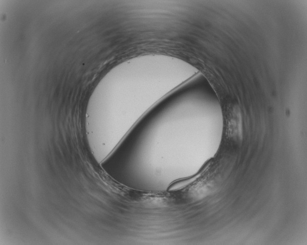 X0000067480620200604070929