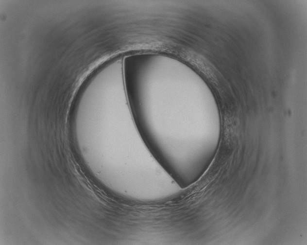 X0000067480628200604070928