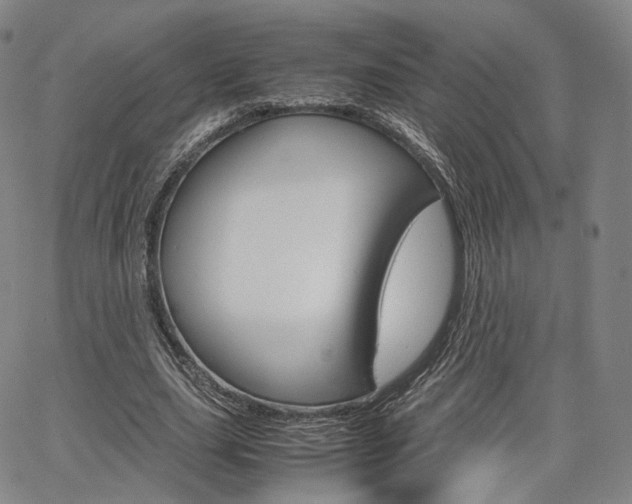 X0000067480631200604070928