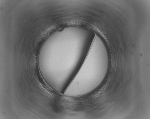 X0000067480637200604070928