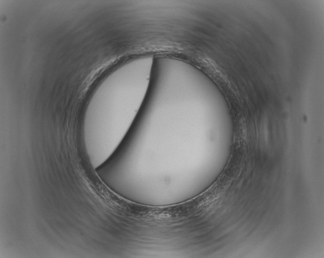 X0000067480640200604070929
