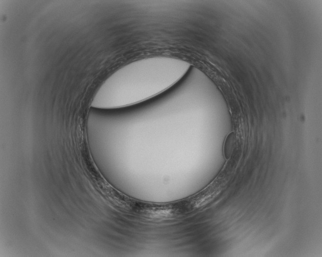 X0000067480651200604070929