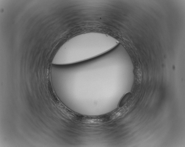 X0000067480657200604070929
