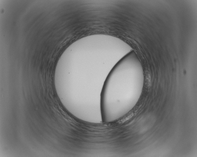 X0000067480665200604070929