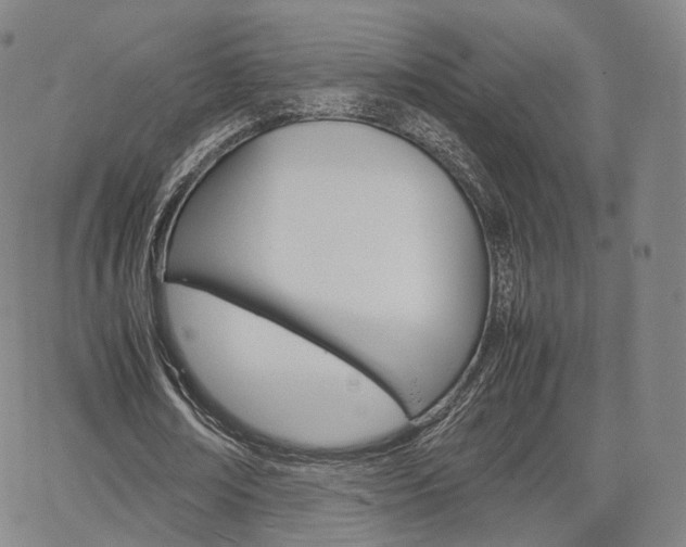 X0000067480674200604070928