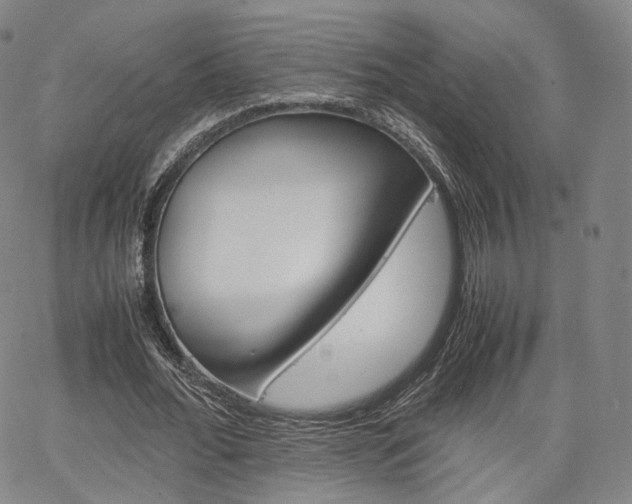 X0000067480676200604070928