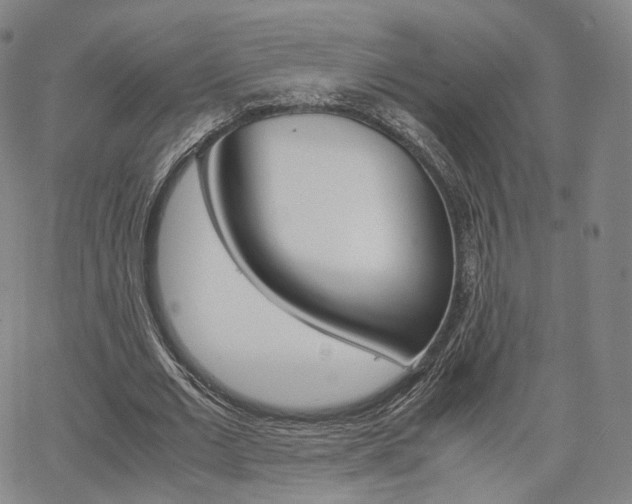 X0000067480677200604070928