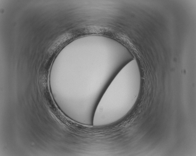 X0000067480683200604070928