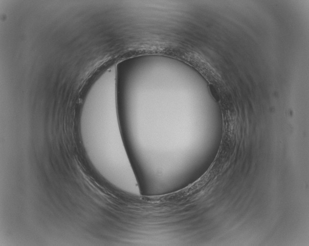 X0000067480692200604070928