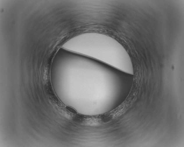 X0000067480708200604070928
