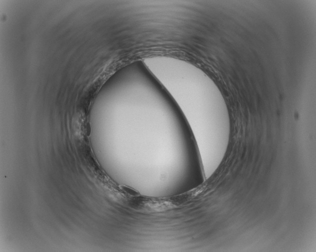 X0000067480712200604070928