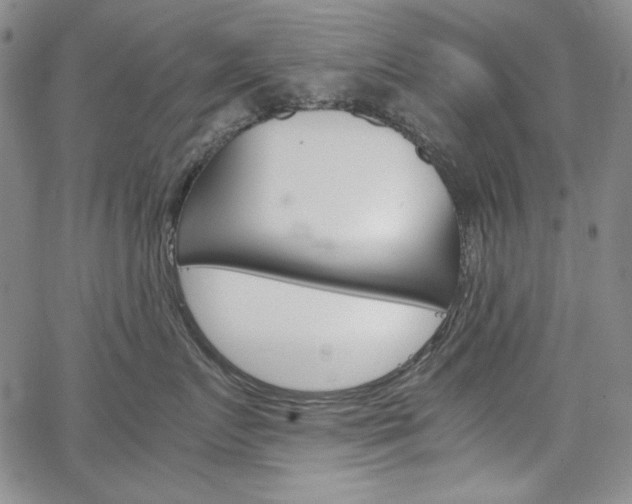X0000067480719200604070928