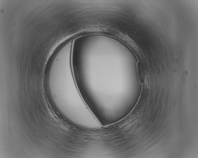 X0000067480724200604070927