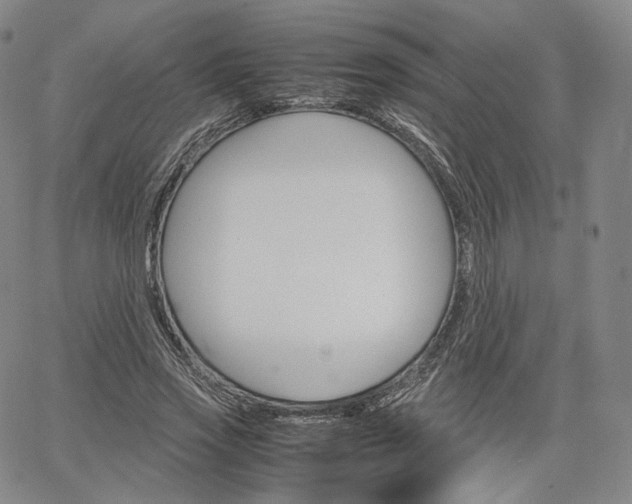 X0000067480733200604070927
