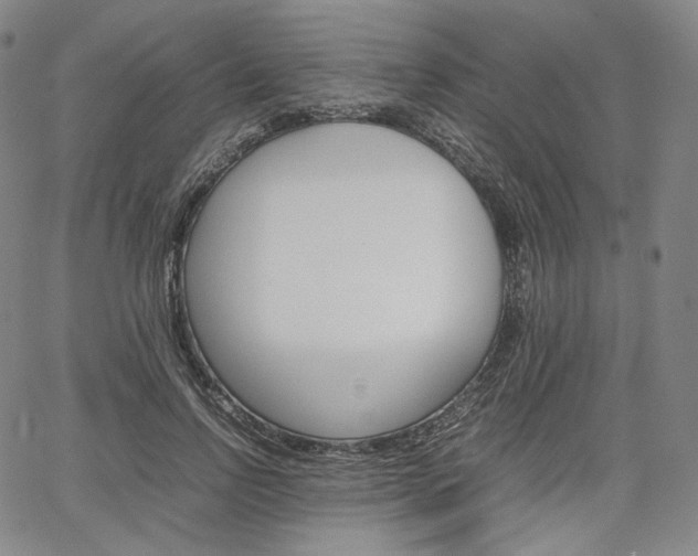X0000067480742200604070927