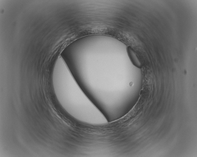 X0000067480744200604070927