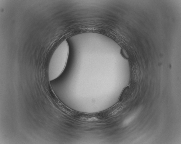 X0000067480747200604070927