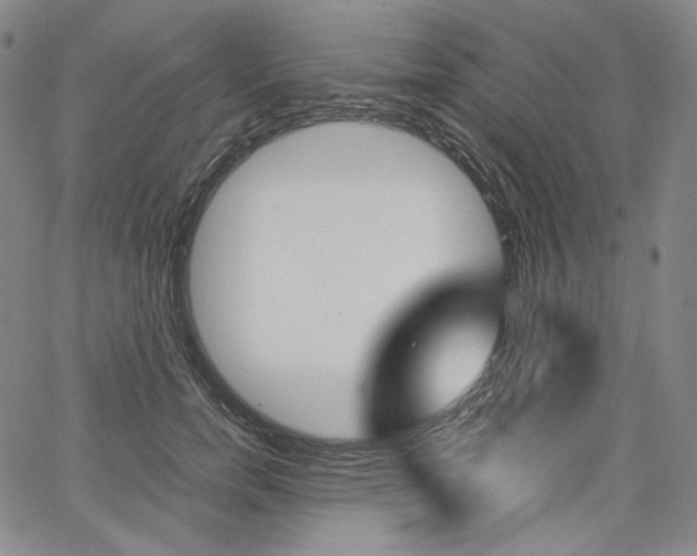 X0000067480750200604070927