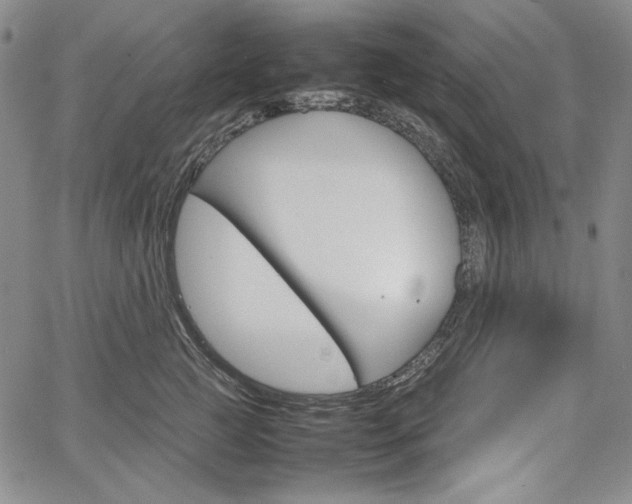 X0000067480761200604070927