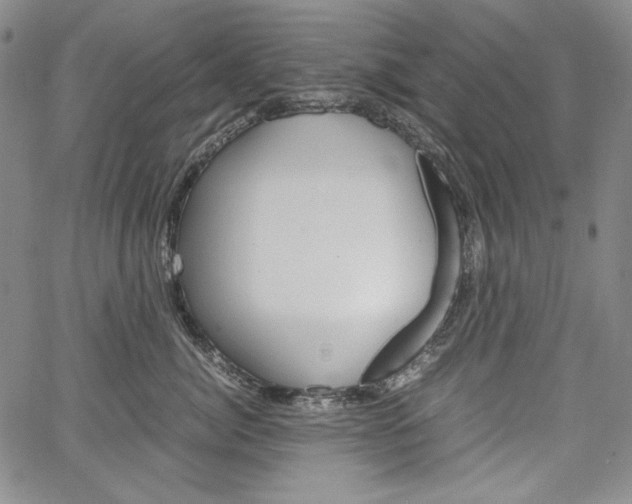 X0000067480764200604070927
